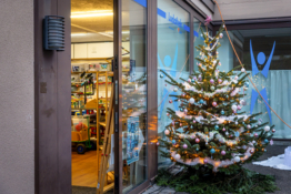 Sins im Advent 24-7415